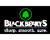 Blackberrys - Offers, Images, Videos, Links