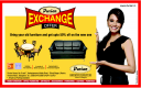 Durian – Exchange Offers