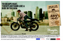 Wrangler - Great Offers
